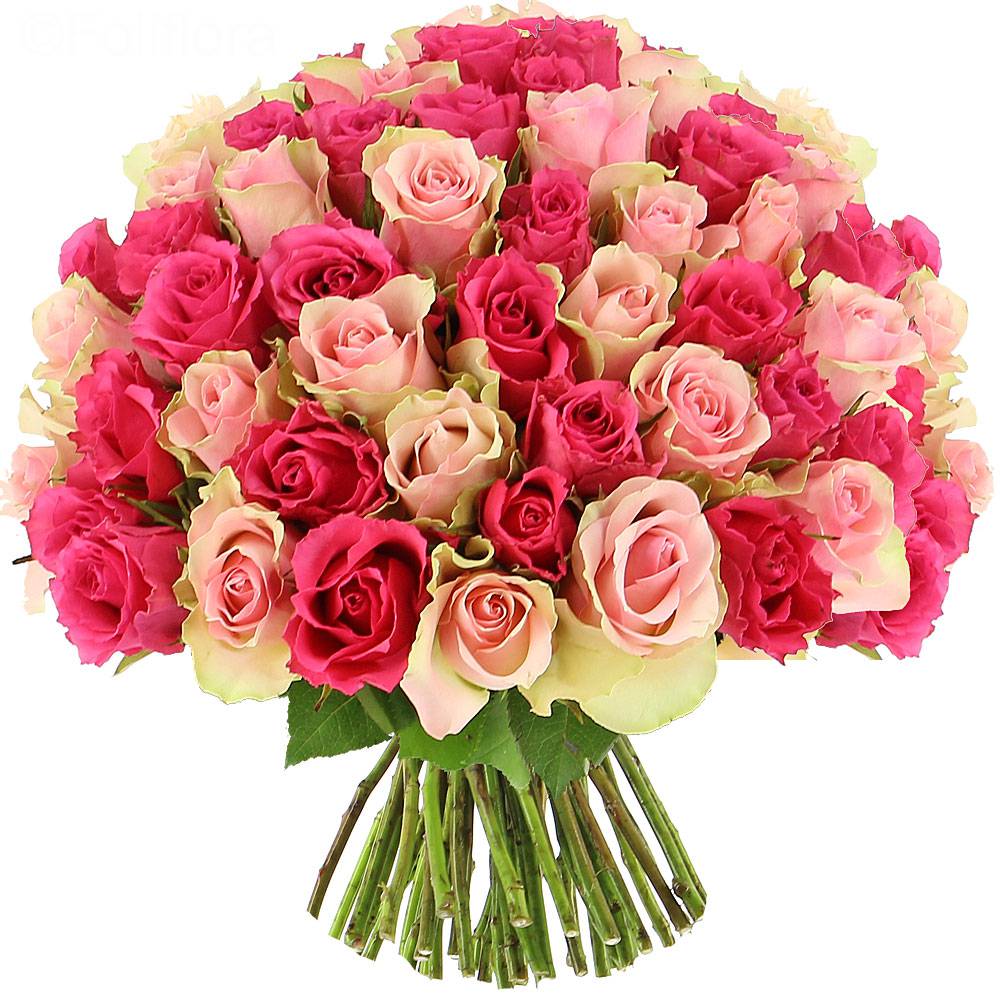 Livraison roses sweety - 25 roses - Bouquet de roses - Foliflora Livraison roses sweety - 25 roses - Bouquet de roses - Foliflora