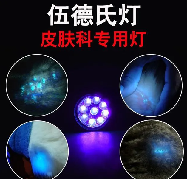 1688441285479515.png image.png