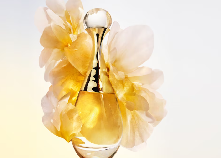 1693364268713421.png 1693364268713421.png