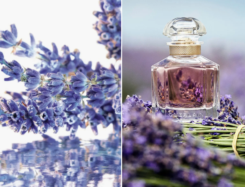 1693362713629522.png 1693362713629522.png