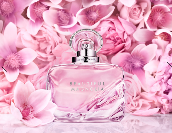 1693366361894119.png image.png