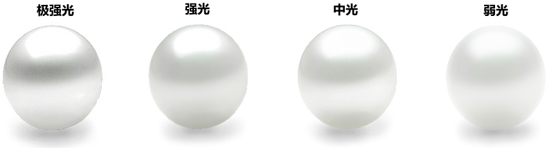 1692857274970590.png 1692857274970590.png
