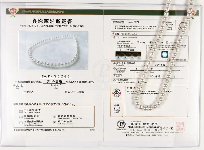 1693983068181519.png 1693983068181519.png