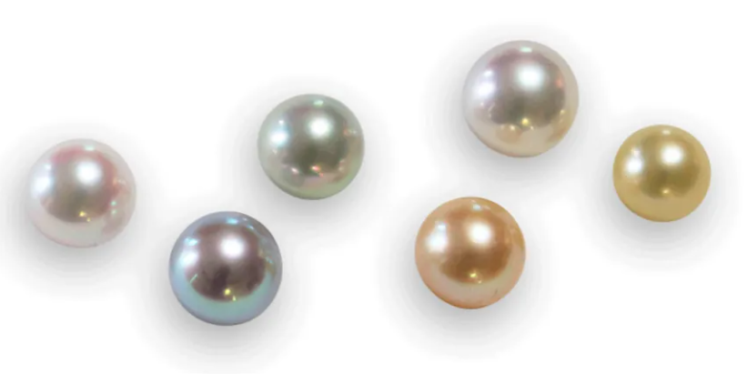 1693989166407303.png 1693989166407303.png