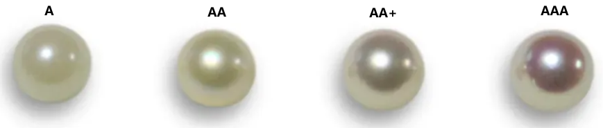 1693987977341879.png 1693987977341879.png