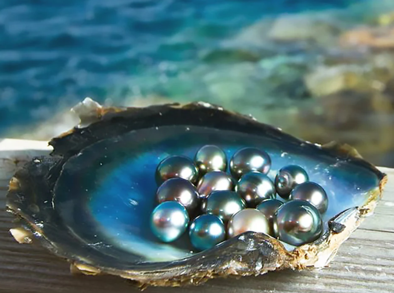 1694592292796407.png 1694592292796407.png