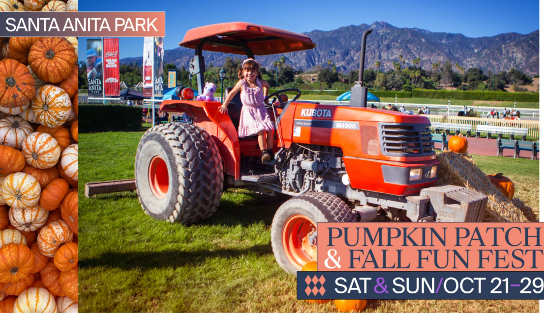 1695707823589556.png 1695707823589556.png