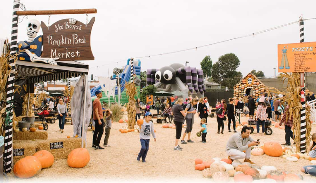 1695708545964439.png 1695708545964439.png