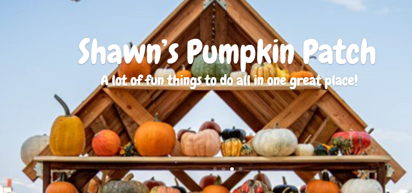 1695708356359702.png 1695708356359702.png