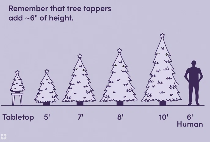 1698217256275498.png 1698217256275498.png