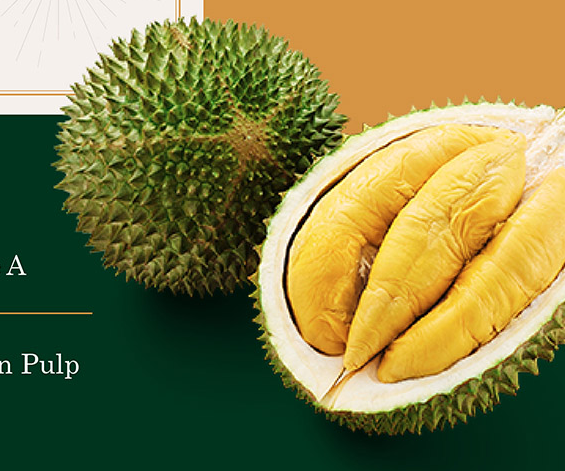 1696735052317085.png 17.png