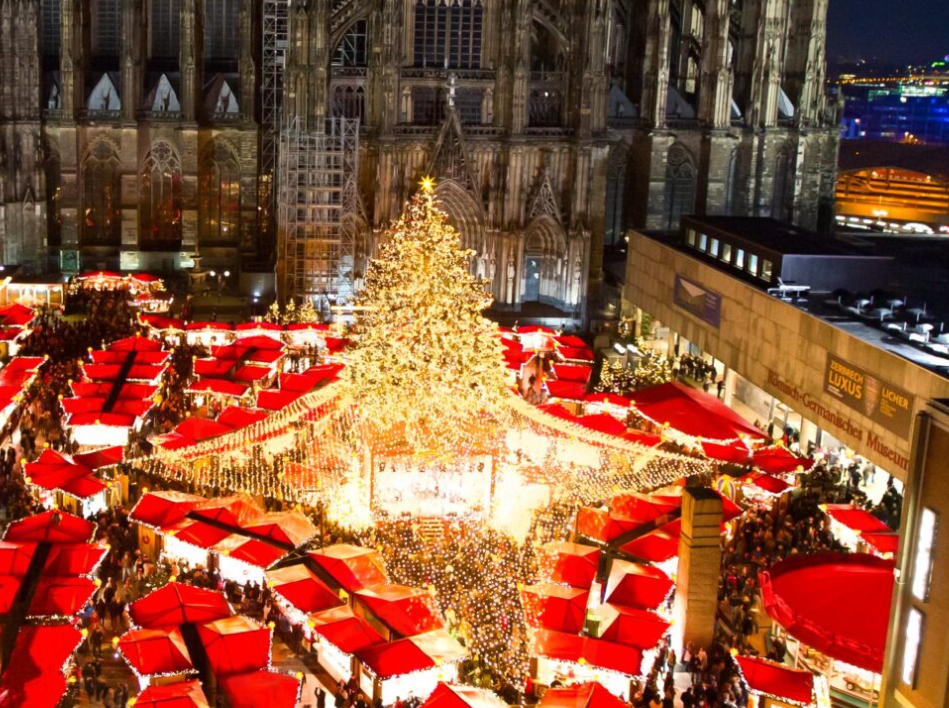 1699862786169310.png 1699862786169310.png