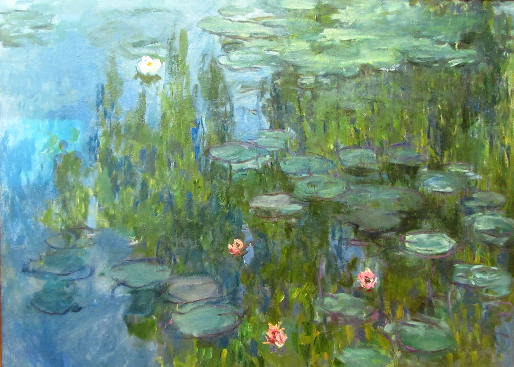 1717485529488549.jpg 1717485529488549.jpg