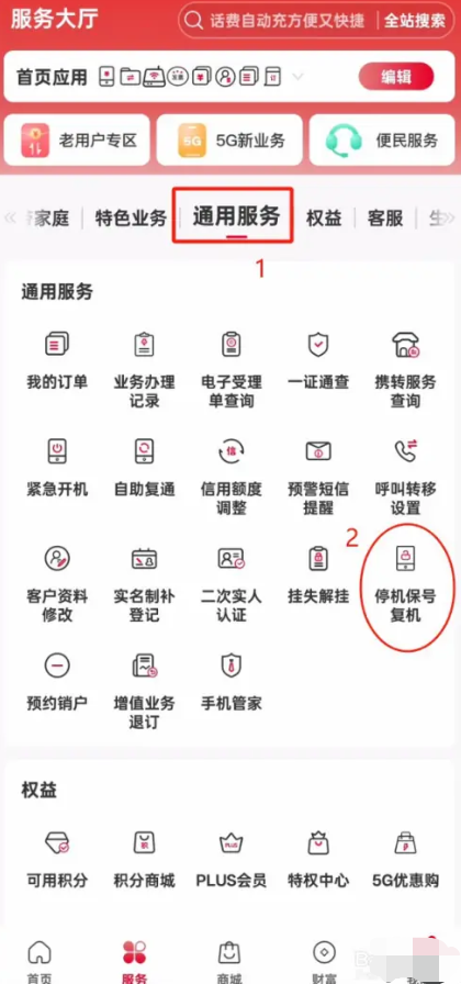 1742802702517115.png 1742802702517115.png